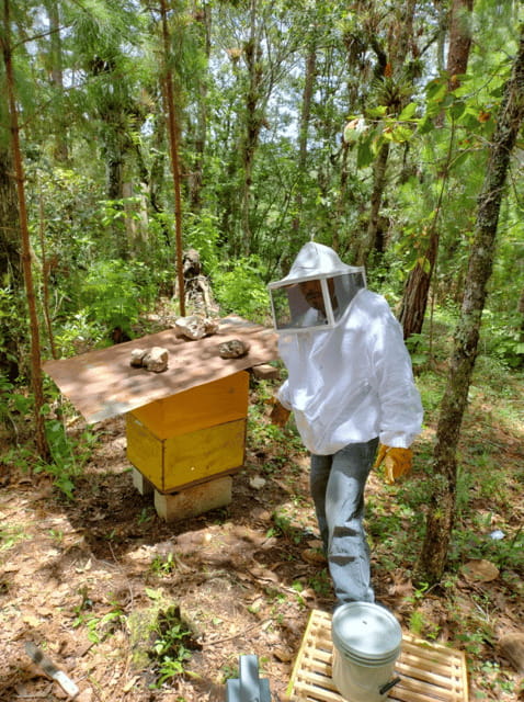 San Cristobal: Huixtan Adventure with Traditional Activities - Explore Huixtan’s Traditional Charm with a Guided Tour in Chiapas