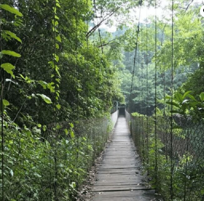 San Cristóbal: Las Nubes Waterfall & Comitán Tour - Transition to Comitán de Domínguez