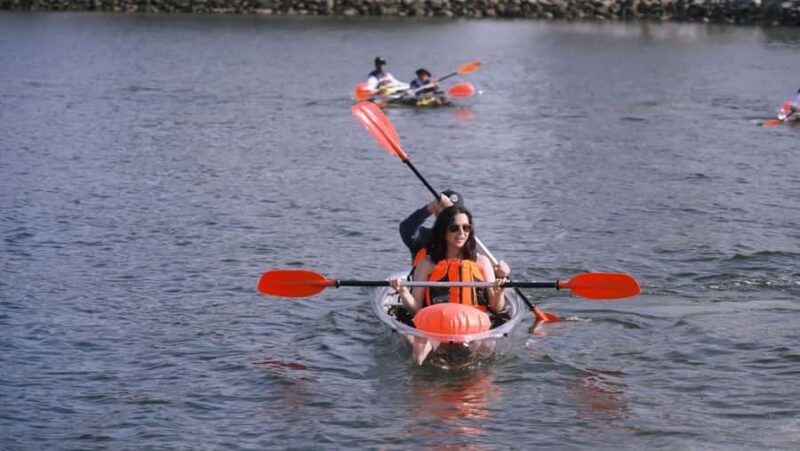San Diego: 2024 Crystal Clear Kayak Rental - Key Points