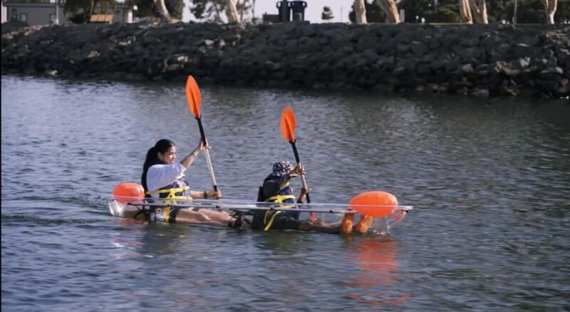 San Diego: 2024 Crystal Clear Kayak Rental - Marine Life and Underwater Views from the Kayak