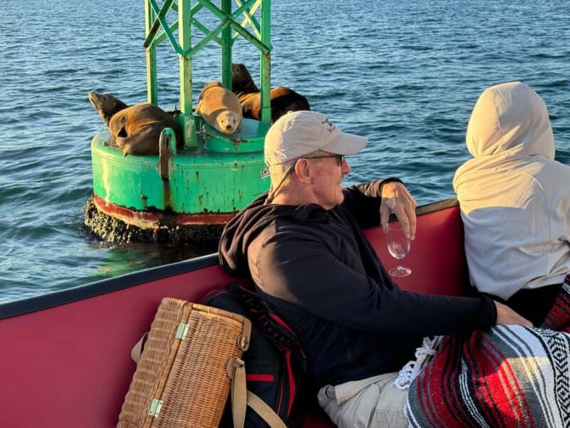 San Diego Bay: 2.5 hour Pure Catamaran Sailing Cruise - The Expertise and Enthusiasm of the Guides