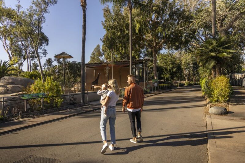 San Diego Explorer Pass: Tickets to 2-7 Attractions - Is the San Diego Explorer Pass Worth It?