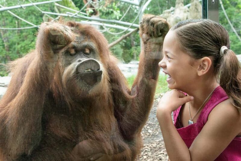 San Diego: Go City Essentials Pass - Additional San Diego Attractions Included