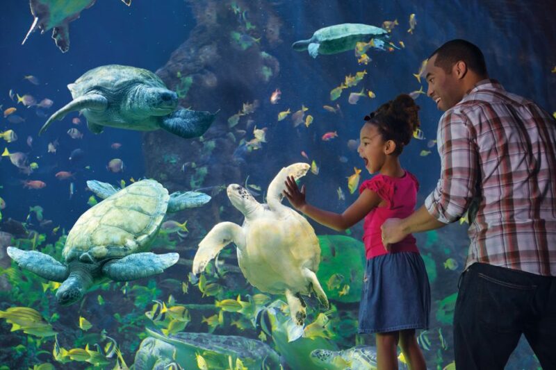 San Diego Pass Plus: 50+ Attractions - Includes LEGOLAND® - Additional Museums and Educational Stops