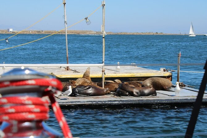 San Diego Private Morning Sail up to 12 guests - Key Points