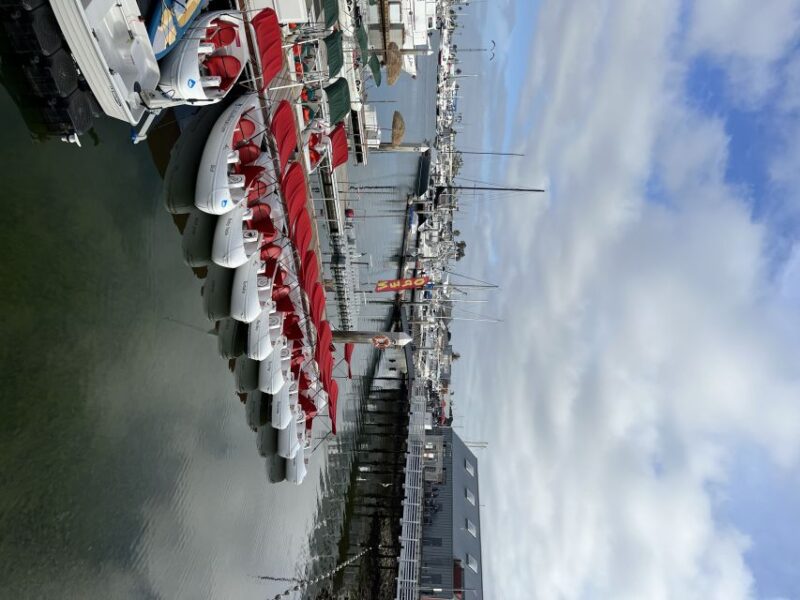 San Diego: San Diego Bay Dog-Friendly Eco Pedal Boat Rentals - Exploring San Diegos Waterfront: Cup Harbor, Harbor Island, and Liberty Station