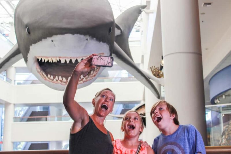 San Diego: San Diego Natural History Museum Ticket - Watching Films in the Giant-Screen Theater