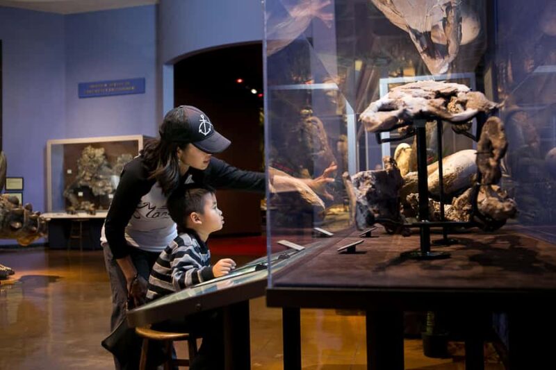 San Diego: San Diego Natural History Museum Ticket - Accessibility and Practical Tips