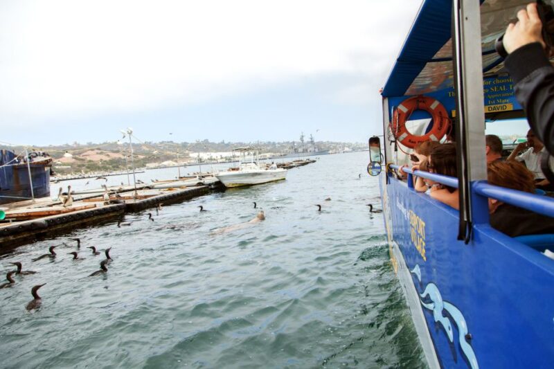 San Diego: SEAL City Tour by Amphibious Bus - Wildlife and Harbor Activities on the Water