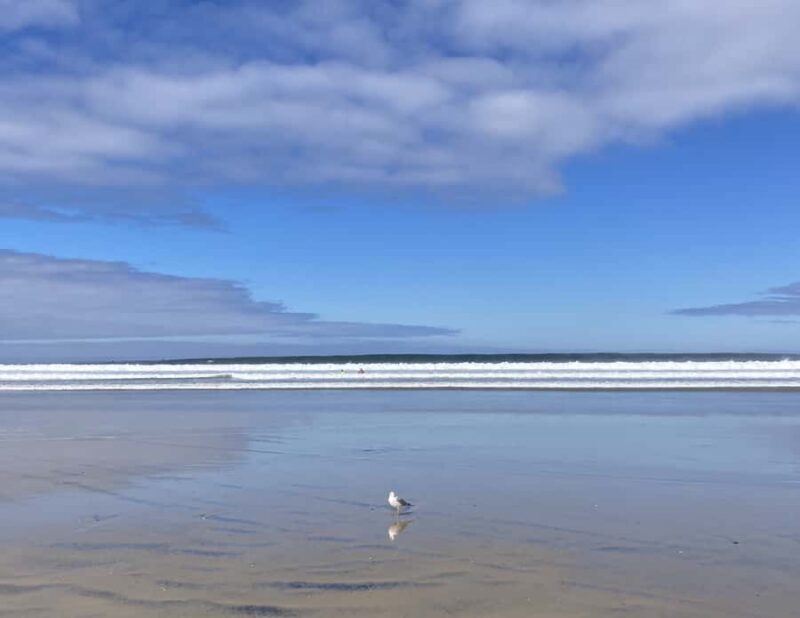 San Diego: Surf Coaching Experience With a Local Pro Surfer - Meeting Point and Practical Details