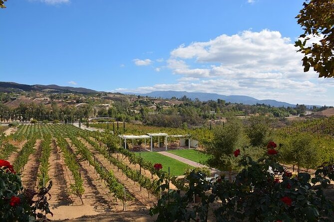 San Diego to Temecula: Wine Country Tour & Historic Old Town - Lunch Experience: Simple but Satisfying