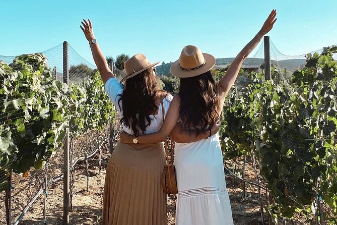 San Diego >>Valley of Guadalupe/four fours vineyard/sky winery - Nightlife at Papas & Beer Beach Club