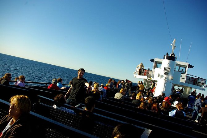 San Diego Whale Watching Cruise - Practical Tips for a Comfortable Trip