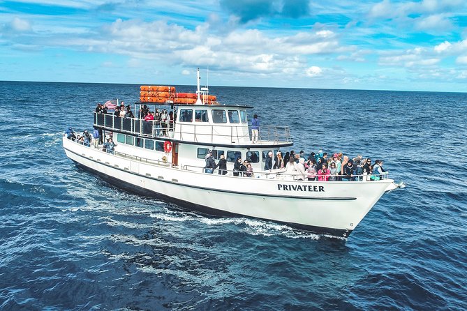 San Diego Whale Watching Tour - The Role of the Crew and Guides