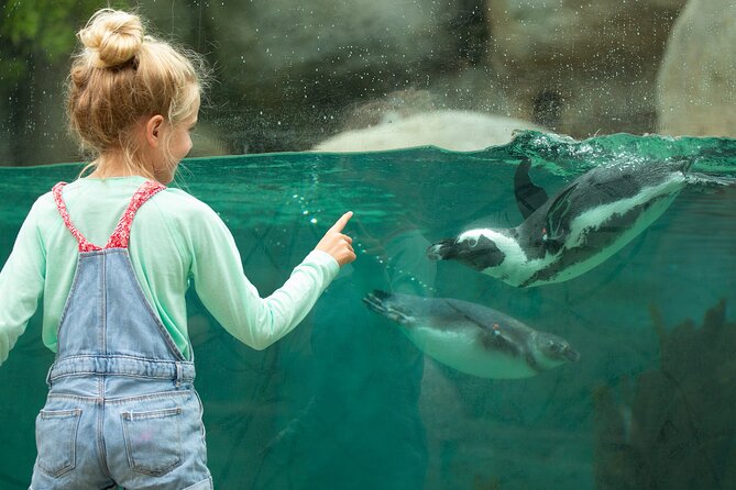 San Diego Zoo 1-Day Pass: Any Day Ticket - Practical Tips for Visiting the Zoo