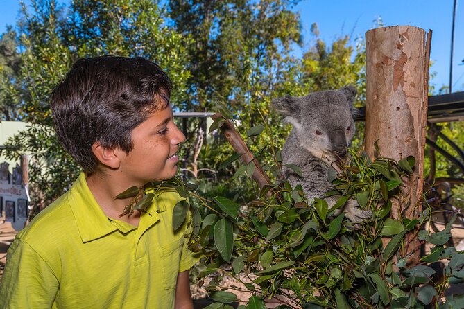 San Diego Zoo 1-Day Pass: Any Day Ticket - Best Time to Visit and Crowd Levels