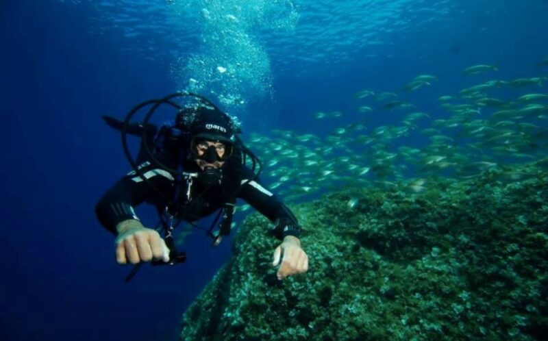 San Domino, Tremiti: Guided dives around Tremiti Islands - Diving Experience and Marine Wildlife Encounters