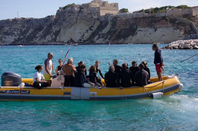 San Domino, Tremiti: try scuba, first diving experience - Why Choose This Tour in the Tremiti Islands?