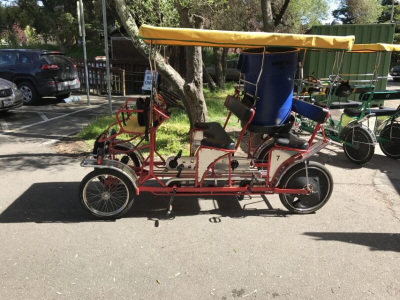 San Fancisco: Golden Gate Park Surrey Rental - This Tour Covers Iconic Landmarks in Golden Gate Park