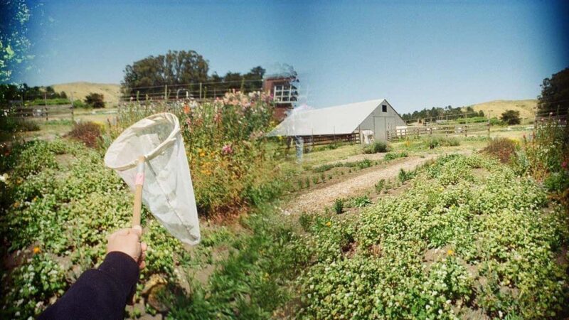 San Francisco: 5-Day California Coast, Vineyards & Wine Tour - Walking Across the Golden Gate Bridge and Exploring Sausalito