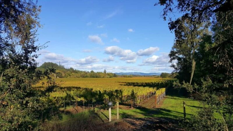 San Francisco: 5-Day California Coast, Vineyards & Wine Tour - Relaxing in Sonoma’s Hot Springs and Exploring Sonoma Plaza