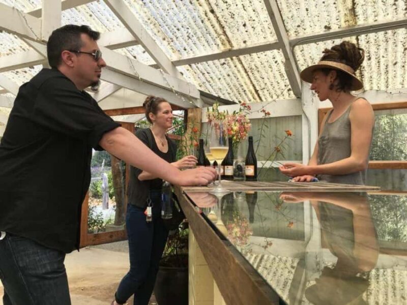 San Francisco: 5-Day Women-Only Wine Country & Coastal Tour - Meeting and Transportation in San Francisco