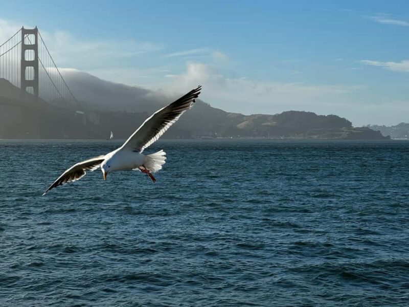 San Francisco: Alcatraz, Ferry & 2-Day Hop-On Hop-Off Bus - Who Would Most Appreciate This Tour?