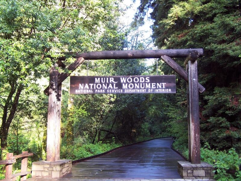 San Francisco: Alcatraz Island & Guided Muir Woods Tour - Practical Logistics and Meeting Arrangements