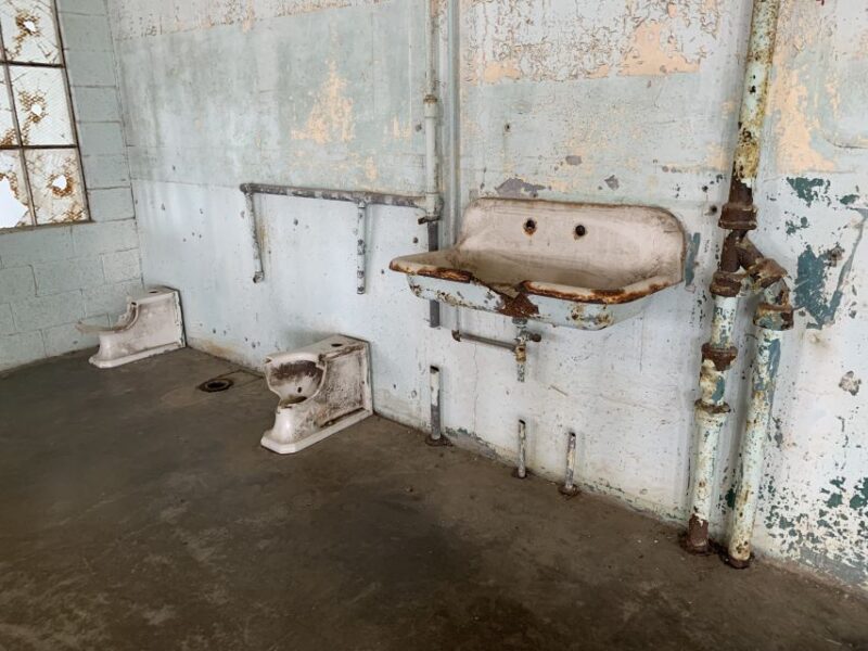 San Francisco: Alcatraz Tour with Muir Woods and Sausalito - Tour Logistics: Meeting Points and Timing