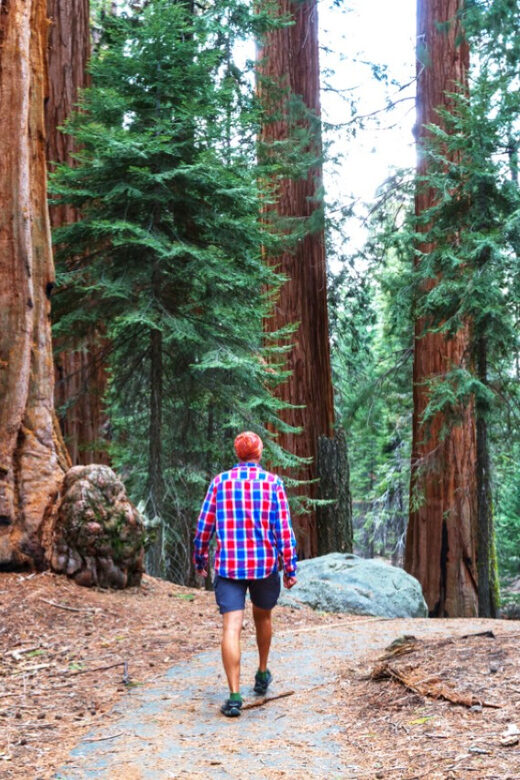 San Francisco: Bike Tour with Muir Woods and Sausalito Visit - What’s Not Included and Helpful Tips