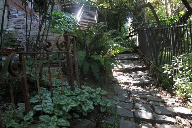 San Francisco Chinatown, Russian Hill, And North Beach Tour - Taking in North Beach’s Italian Charm