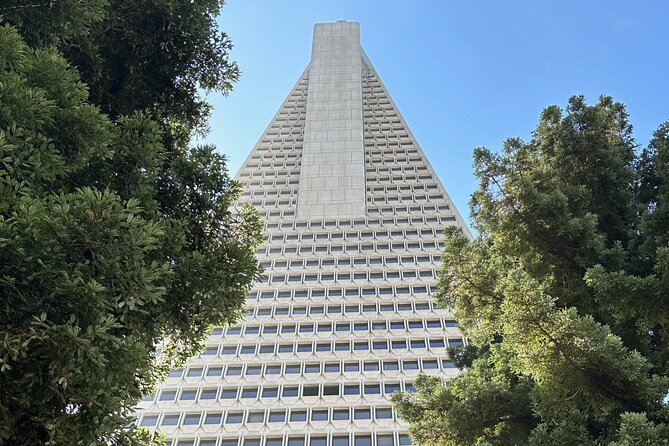 San Francisco City Tour in a Mercedes Sprinter Van - Key Points