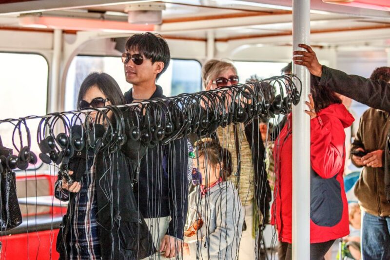 San Francisco: Golden Gate Bay Cruise (1-hour) - Explore San Franciscos Waterfront in One Hour