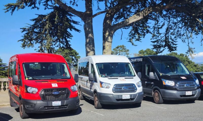 San Francisco: Guided Half-Day Group City Tour - Exploring Diverse Neighborhoods: Haight-Ashbury, Castro, Sea Cliff, and Richmond