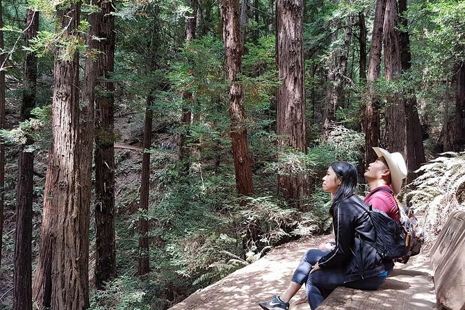 San Francisco: Guided Muir Woods Tour & Hop-on Hop-off Bus Tour - Discover the Charm of San Francisco with a Guided Muir Woods & Hop-on Hop-off Tour