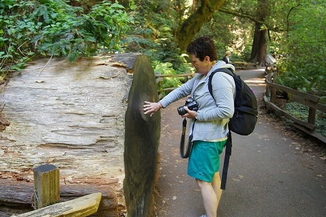 San Francisco: Guided Muir Woods Tour & Hop-on Hop-off Bus Tour - Limitations and Considerations