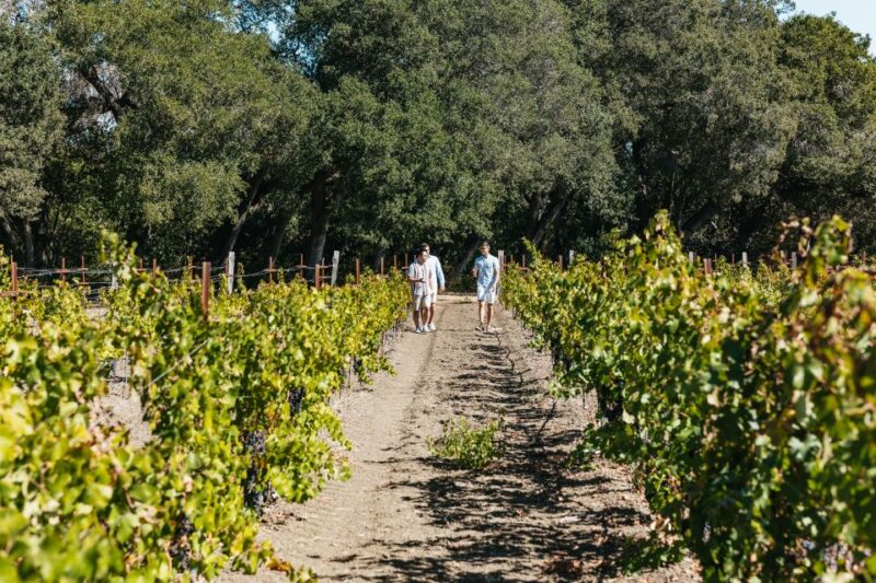 San Francisco: Half-Day Wine Country Excursion with Tastings - Additional Options and Flexibility
