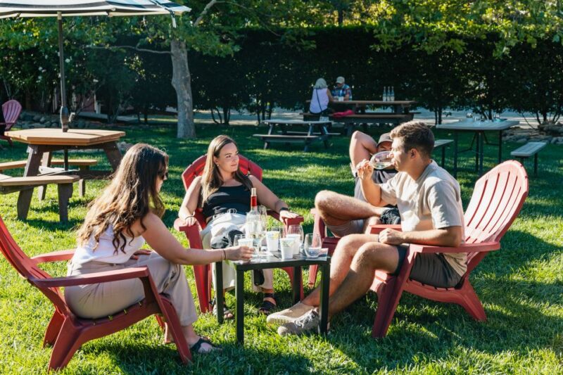 San Francisco: Half-Day Wine Country Excursion with Tastings - Concluding Insights: A Practical Short Wine Tour for Time-Savvy Visitors