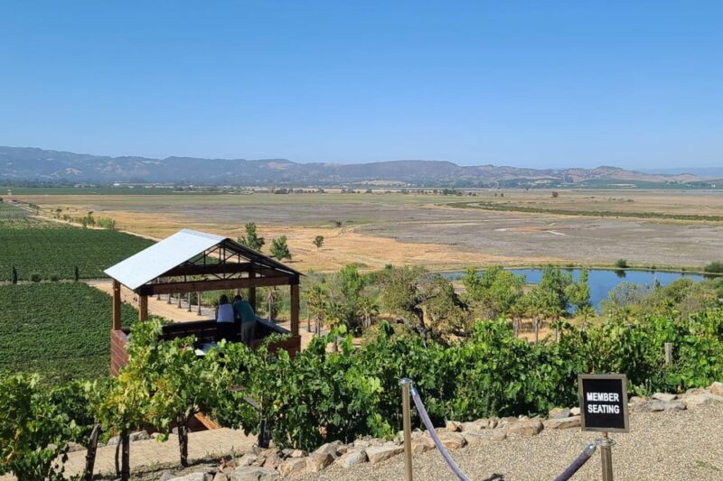 San Francisco: Half-Day Wine Tour with 2 Tastings Included - Tasting at Two Unique Wineries