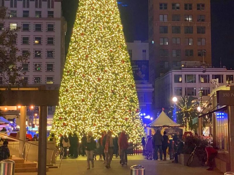 San Francisco: Holiday Lights Private Group Jeep Tour - Practical Details: Duration, Weather, and Group Size