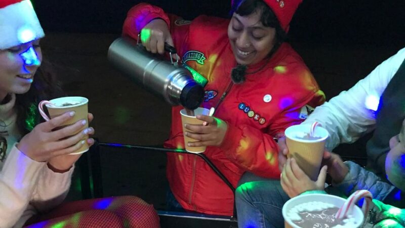 San Francisco: Holiday Lights Private Group Jeep Tour - Considerations and Recommendations for Booking