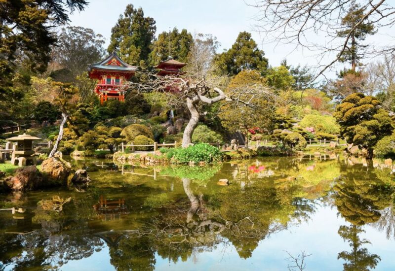 San Francisco: Hop-On Hop-Off Bus with Ferry & Alcatraz Tour - The Night Tour: An Alternative View of San Francisco