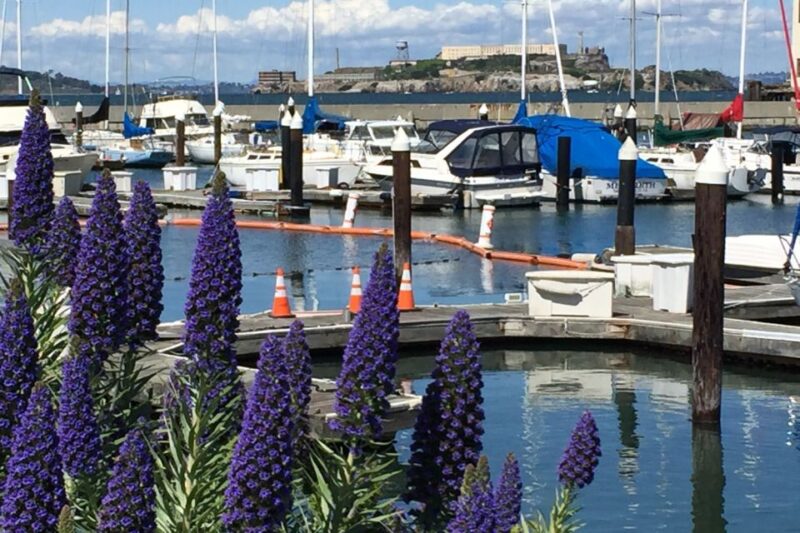 San Francisco: Major Landmarks Private Sightseeing Tour - An Insider’s Look at the Landmark Highlights