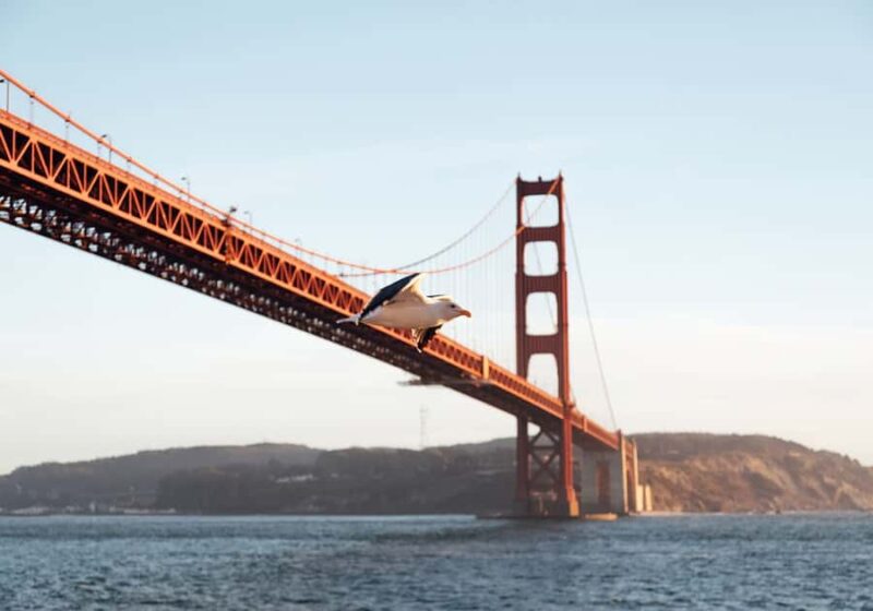 San Francisco: Mothers Day Brunch or Dinner Bay Cruise - Delicious Brunch Buffet Featuring Seasonal Dishes