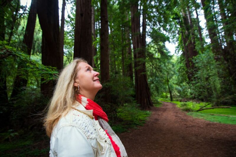 San Francisco: Muir Woods and Sausalito Tour with Admission - Practical Details: Transportation, Guides, and Accessibility