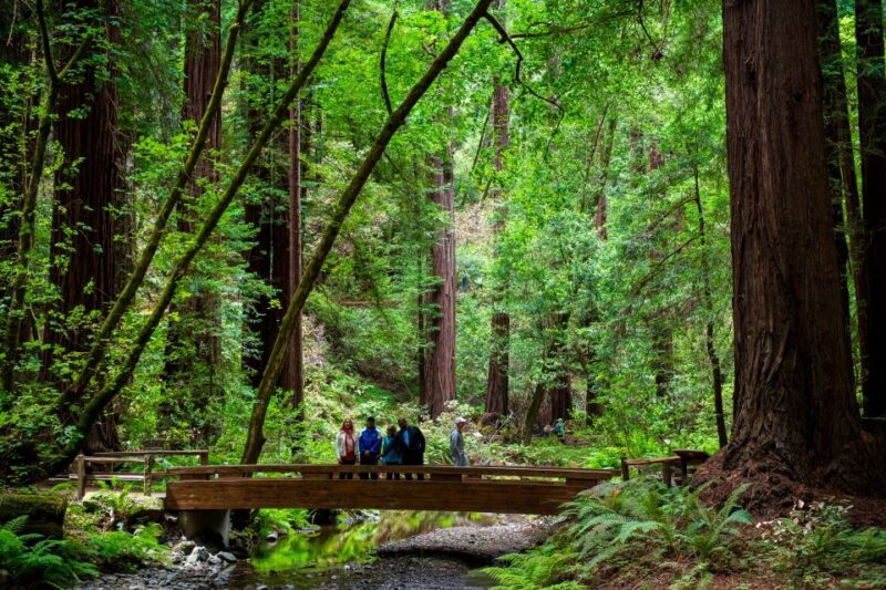 San Francisco: Muir Woods and Sausalito Tour with Admission - The Sum Up: A Balanced and Scenic Day Trip