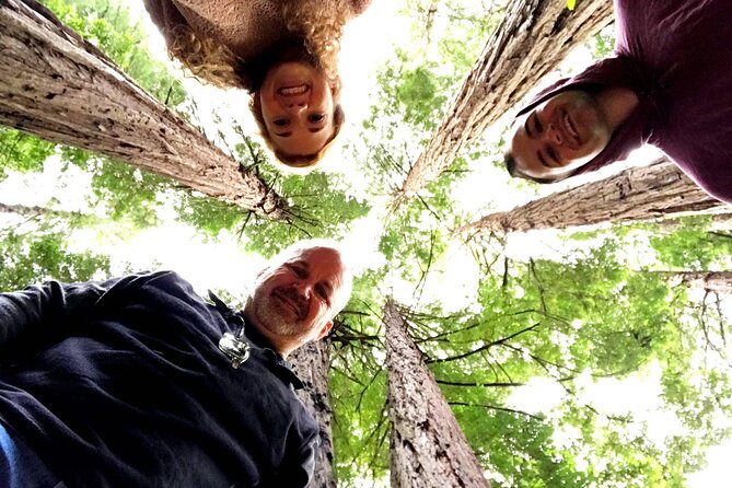 San Francisco & Muir Woods Full Day Small Group Private Tour - Explore San Francisco and Muir Woods in a Private Jeep Tour