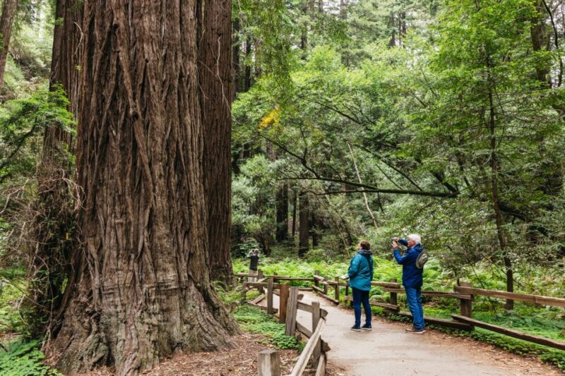 San Francisco: Muir Woods, Napa & Sonoma Valley Wine Tour - Wine Tasting at Boutique Vineyards in Napa and Sonoma