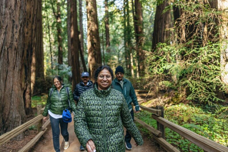 San Francisco: Muir Woods, Sausalito and SF Bay Cruise - Discovering Sausalito: An Artistic Waterfront Village