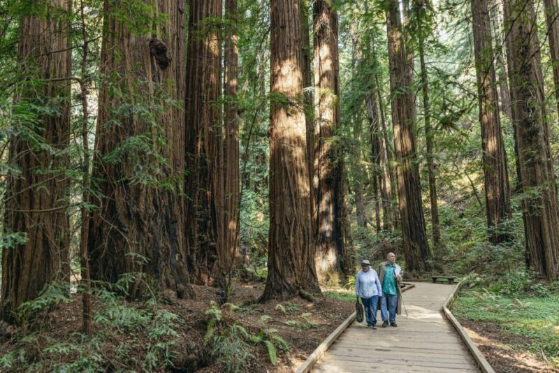 San Francisco: Muir Woods, Sausalito and SF Bay Cruise - What Makes This Tour Stand Out